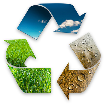 © ferkelraggae - Fotolia.com